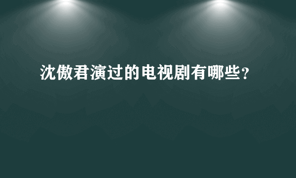 沈傲君演过的电视剧有哪些？