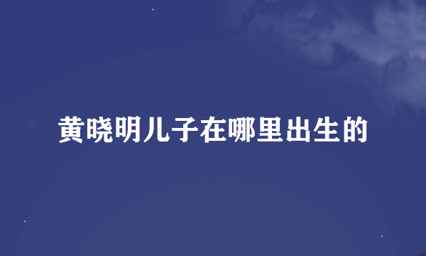 黄晓明儿子在哪里出生的