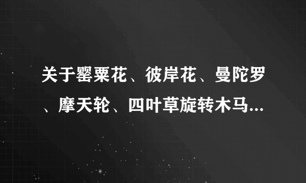 关于罂粟花、彼岸花、曼陀罗、摩天轮、四叶草旋转木马的网名、 3Q