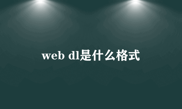 web dl是什么格式