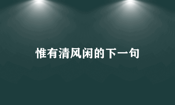 惟有清风闲的下一句