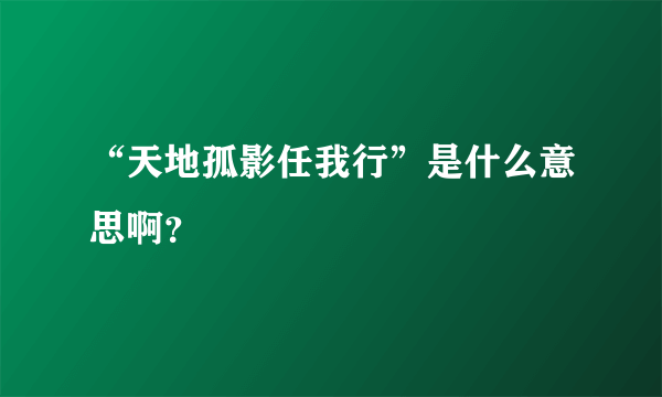 “天地孤影任我行”是什么意思啊？