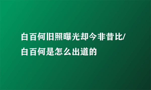 白百何旧照曝光却今非昔比/白百何是怎么出道的