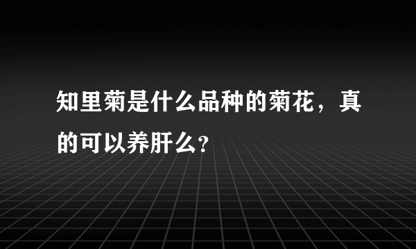 知里菊是什么品种的菊花，真的可以养肝么？