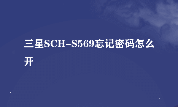 三星SCH-S569忘记密码怎么开