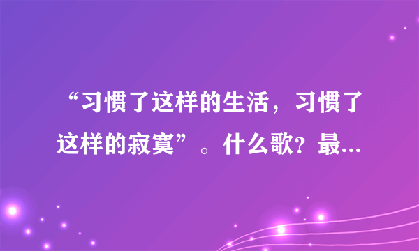 “习惯了这样的生活，习惯了这样的寂寞”。什么歌？最好带上全部歌词。