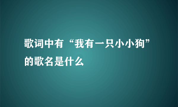 歌词中有“我有一只小小狗”的歌名是什么