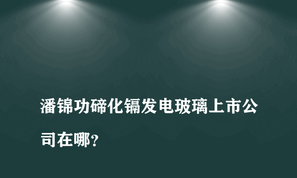 
潘锦功碲化镉发电玻璃上市公司在哪？

