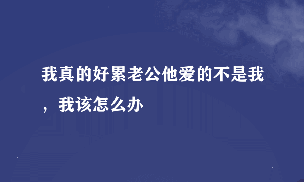 我真的好累老公他爱的不是我，我该怎么办