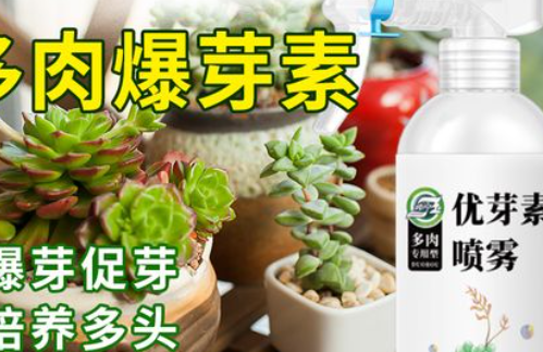 优芽素是什么成分?