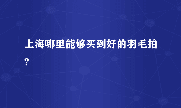 上海哪里能够买到好的羽毛拍?