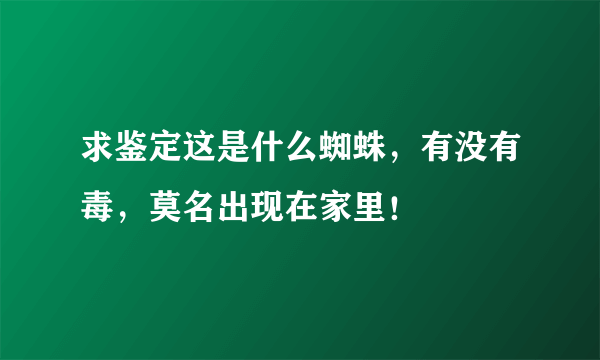 求鉴定这是什么蜘蛛，有没有毒，莫名出现在家里！