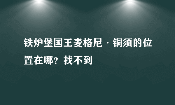 铁炉堡国王麦格尼·铜须的位置在哪？找不到