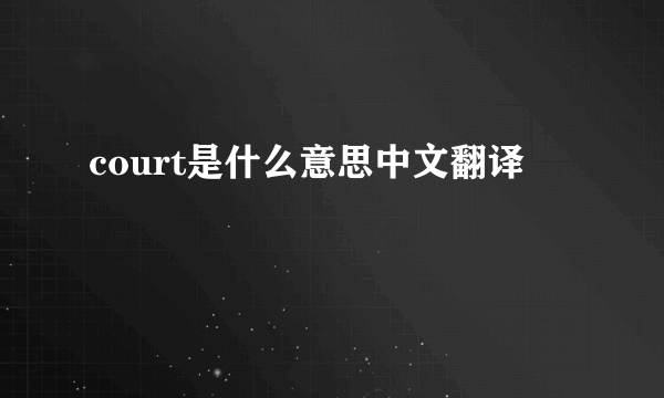 court是什么意思中文翻译