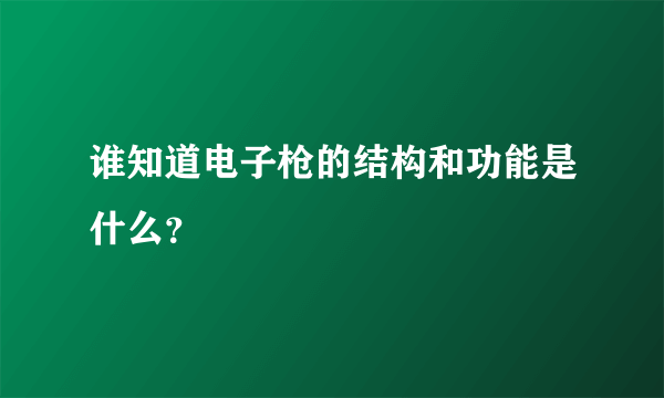 谁知道电子枪的结构和功能是什么？