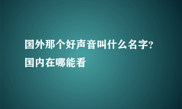 国外那个好声音叫什么名字？国内在哪能看