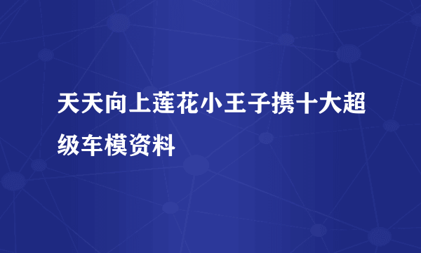 天天向上莲花小王子携十大超级车模资料