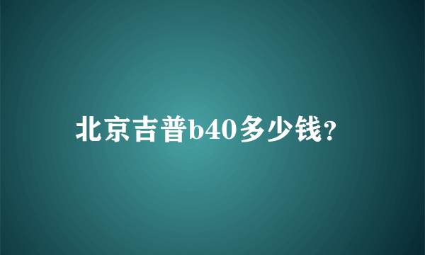 北京吉普b40多少钱？