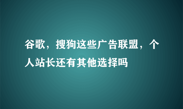 谷歌，搜狗这些广告联盟，个人站长还有其他选择吗