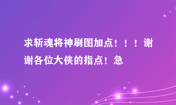 求斩魂将神刷图加点！！！谢谢各位大侠的指点！急