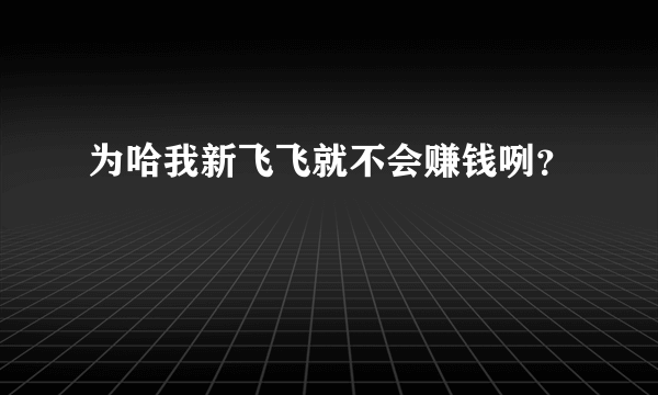 为哈我新飞飞就不会赚钱咧？