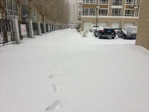 内蒙通辽市民晨起发现一层楼不见了，此次的降雪量到底有多大？