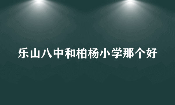 乐山八中和柏杨小学那个好