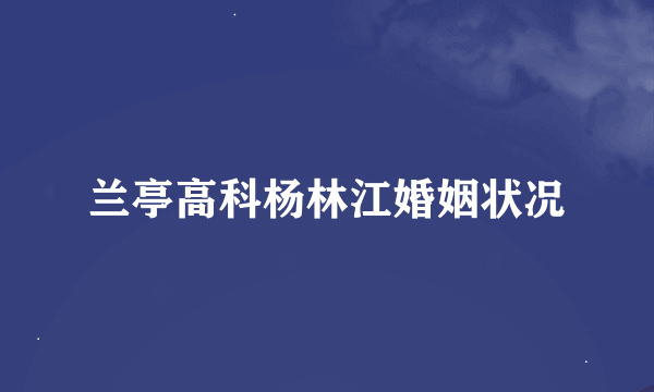 兰亭高科杨林江婚姻状况