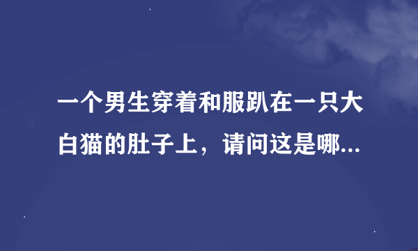 一个男生穿着和服趴在一只大白猫的肚子上，请问这是哪部动漫里的？