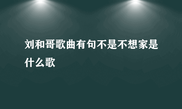 刘和哥歌曲有句不是不想家是什么歌