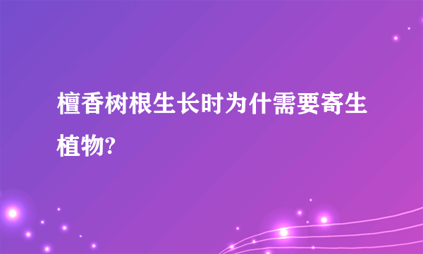 檀香树根生长时为什需要寄生植物?