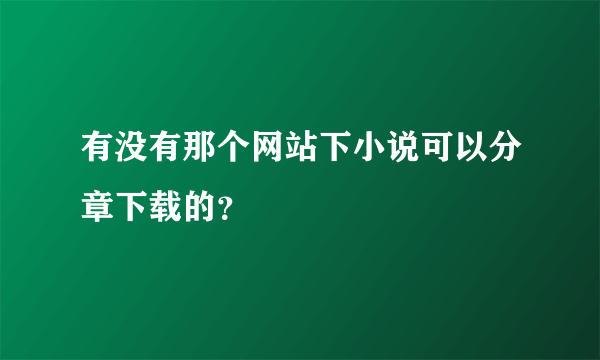 有没有那个网站下小说可以分章下载的？