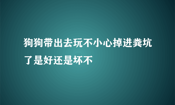 狗狗带出去玩不小心掉进粪坑了是好还是坏不