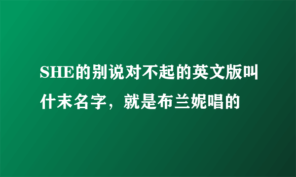 SHE的别说对不起的英文版叫什末名字，就是布兰妮唱的