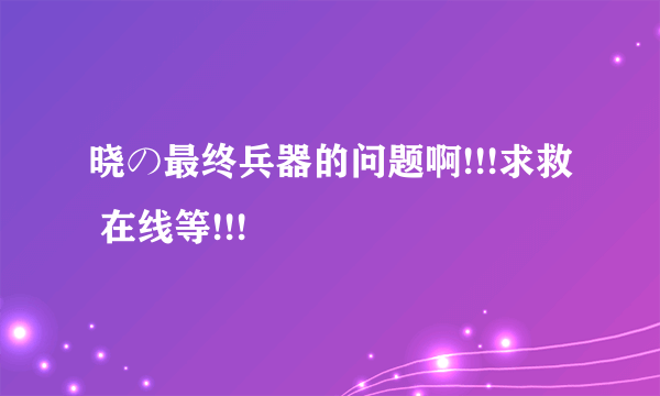 晓の最终兵器的问题啊!!!求救 在线等!!!