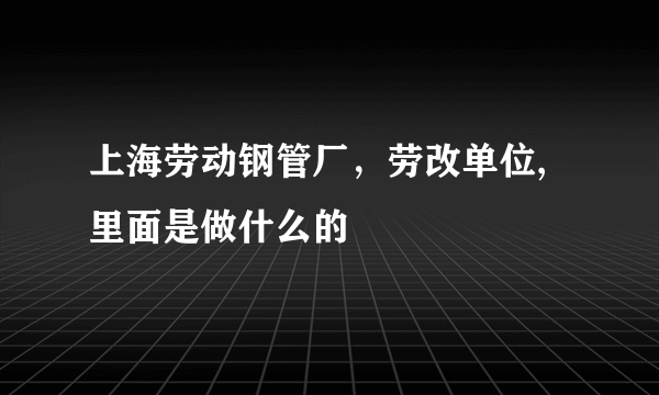 上海劳动钢管厂，劳改单位,里面是做什么的