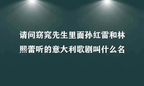 请问窈窕先生里面孙红雷和林熙蕾听的意大利歌剧叫什么名