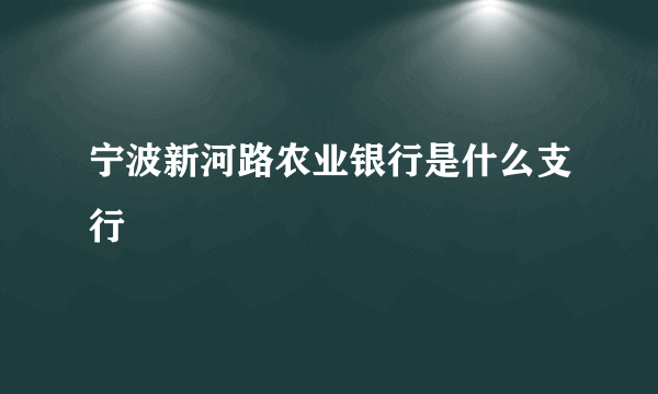 宁波新河路农业银行是什么支行