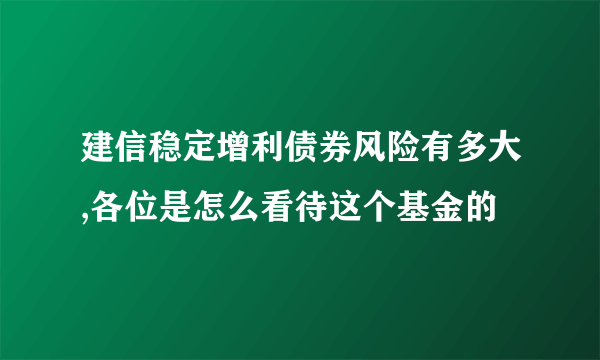 建信稳定增利债券风险有多大,各位是怎么看待这个基金的