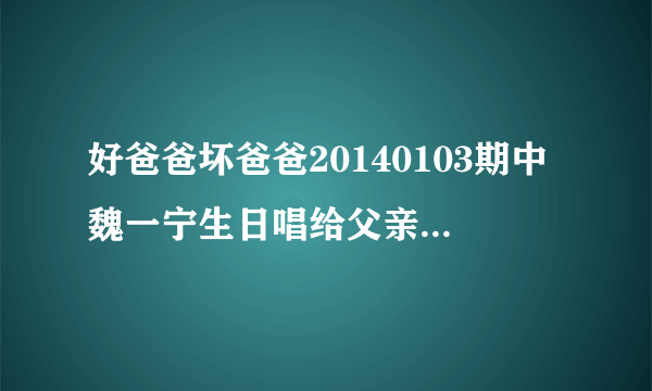 好爸爸坏爸爸20140103期中魏一宁生日唱给父亲的心声有没有这首歌？歌词，（开始怕我回家，一会说