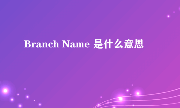 Branch Name 是什么意思