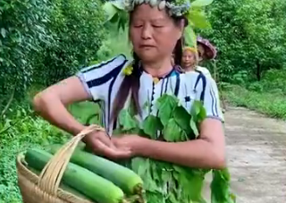 湖南一农村大妈抱自家蔬菜走秀的视频，为什么能这么火？