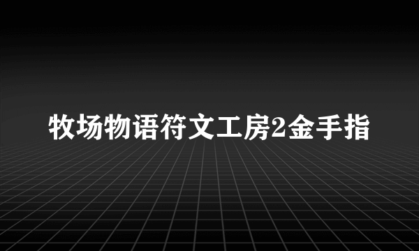 牧场物语符文工房2金手指