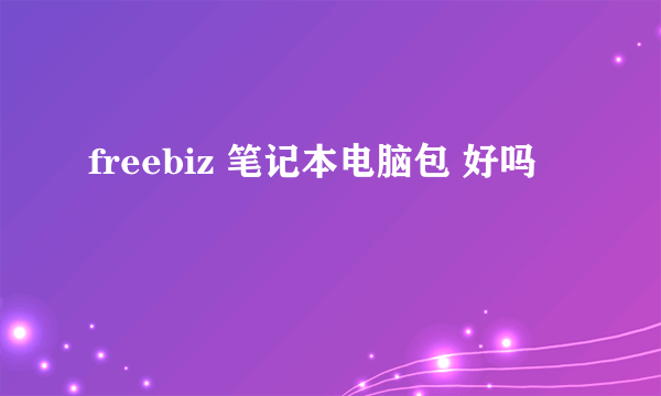 freebiz 笔记本电脑包 好吗