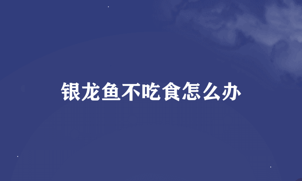 银龙鱼不吃食怎么办