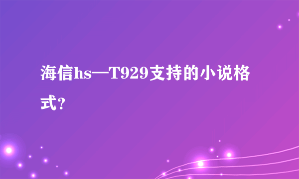 海信hs—T929支持的小说格式？