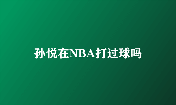 孙悦在NBA打过球吗