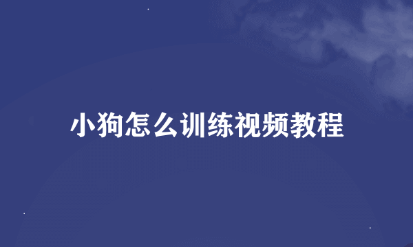 小狗怎么训练视频教程