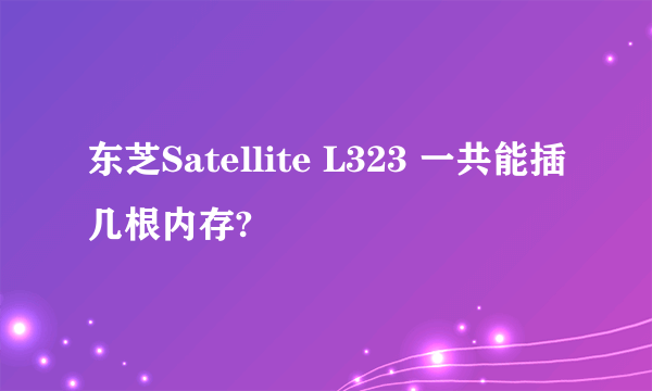 东芝Satellite L323 一共能插几根内存?