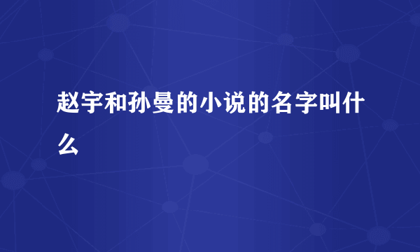 赵宇和孙曼的小说的名字叫什么